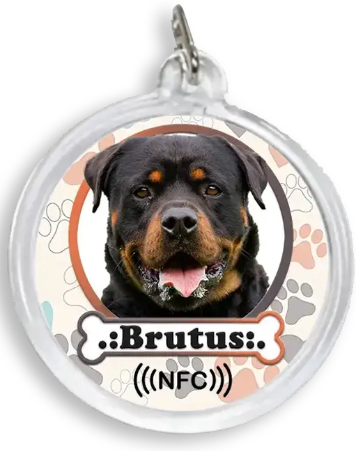 Brutus