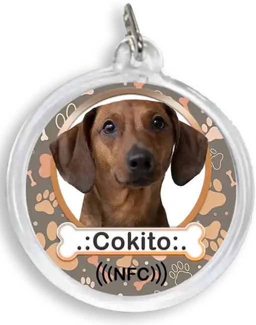 Cokito