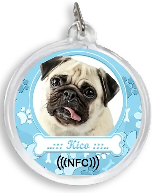 Kico