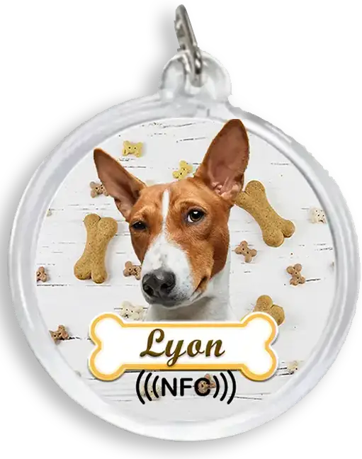 Lyon