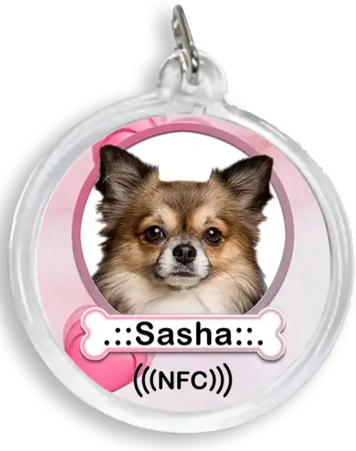 Sasha